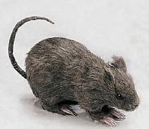 mqkTKySDzy7mUaLE6NWbfoA (2)