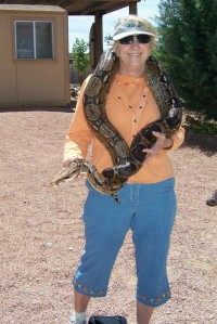 picture with python